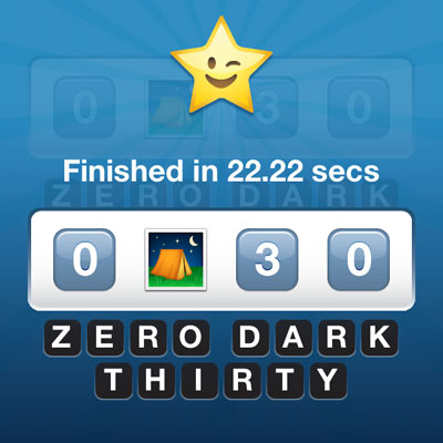  Zero Dark Thirty 