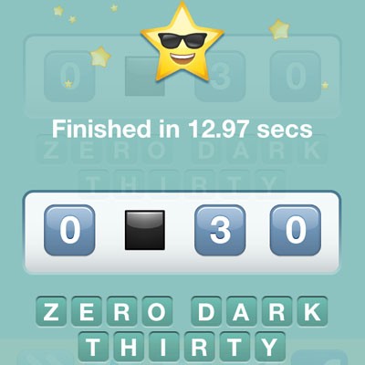  Zero Dark Thirty 