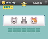  Rodents 